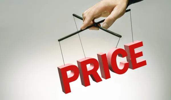 Pristine Amore Price